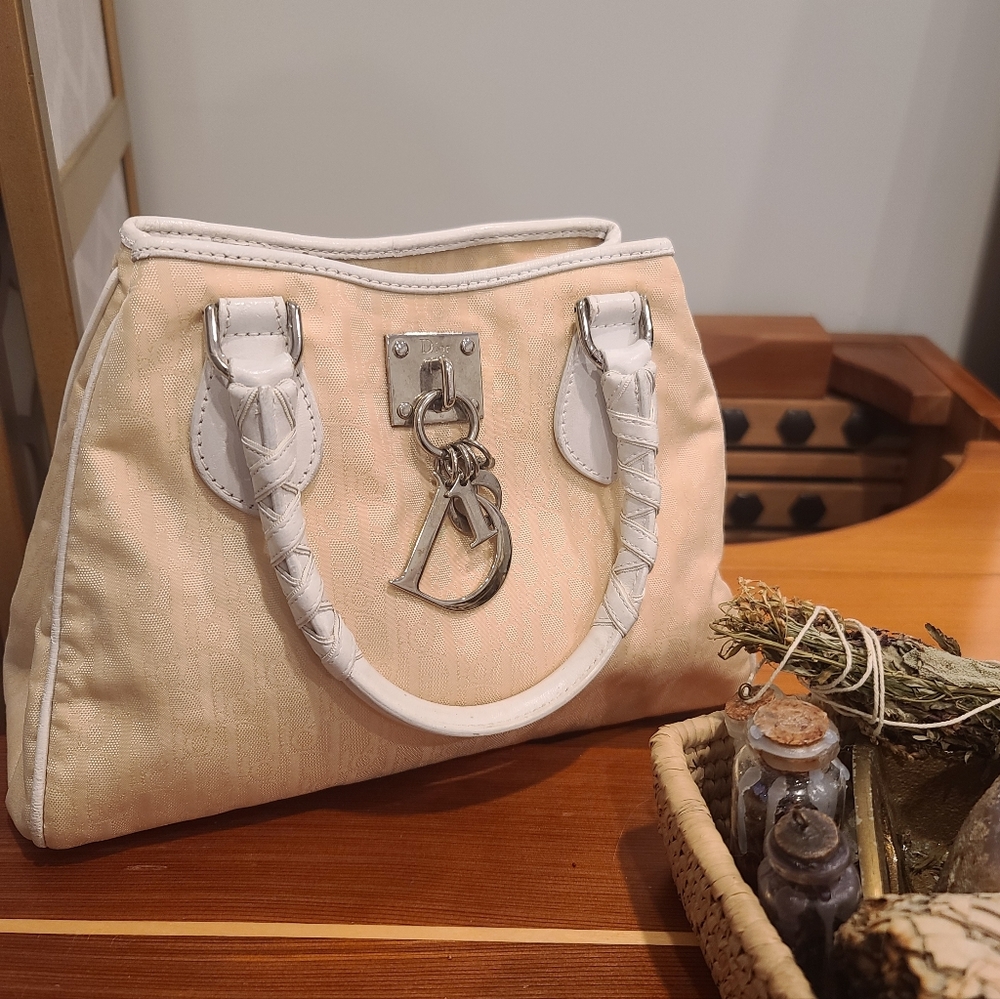Christian Dior Oblique Printed Handle Bag